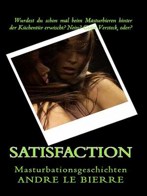 Cover of the book Satisfaction by Andre Le Bierre
