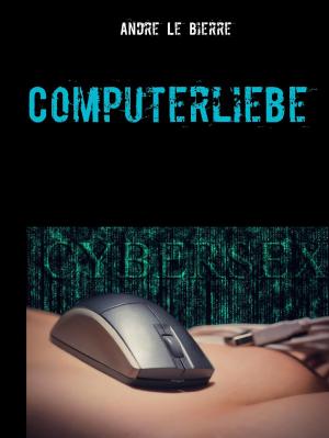 Cover of the book Computerliebe by Valentina Fürst