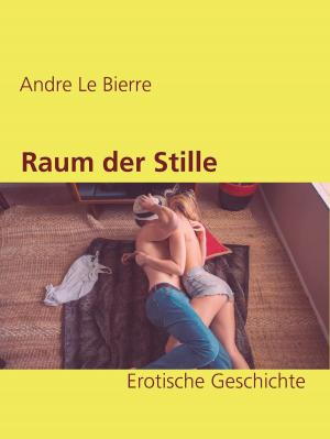Cover of the book Raum der Stille by Nigel Halfmanner