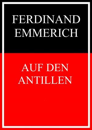 Cover of the book Auf den Antillen by Jani Friese