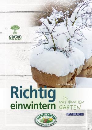 Cover of the book Richtig Einwintern by Tobias Bode, Sabrina Nitsche, Julia Schade