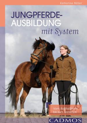 Cover of the book Jungpferdeausbildung mit System by Heike Gross