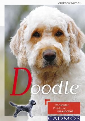 Cover of the book Doodle by Jana Weichelt