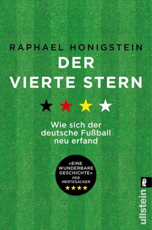 Cover of the book Der vierte Stern by Antonio R. Damasio