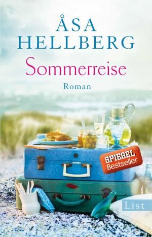 Cover of the book Sommerreise by Gordon Smith