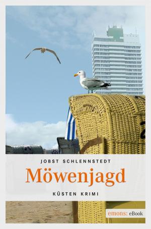 Cover of the book Möwenjagd by Barbara Büchner