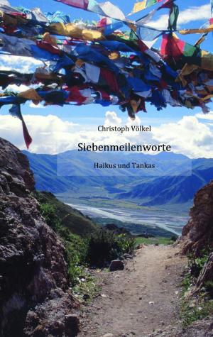 Cover of the book Siebenmeilenworte by Christina König