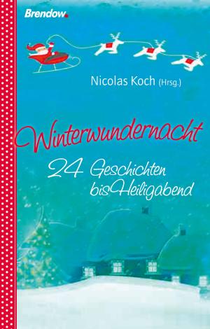 Cover of the book Winterwundernacht by J.E.B. Spredemann