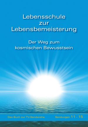 Cover of the book Lebensschule zur Lebensbemeisterung by Martin Kübli, Dieter Potzel, Ulrich Seifert