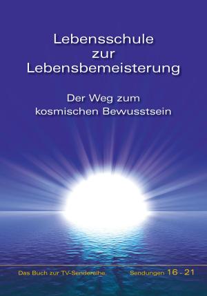 Cover of the book Lebensschule zur Lebensbemeisterung by Dieter Potzel, Matthias Holzbauer