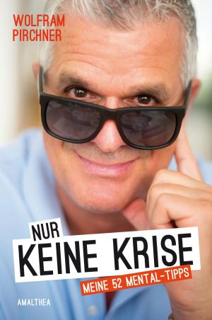 Cover of the book Nur keine Krise by Gwyneth Snow
