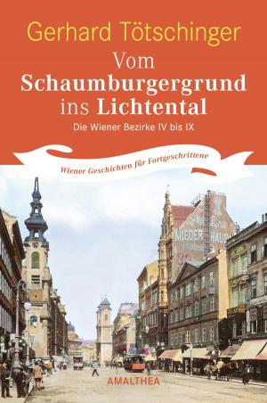 Cover of the book Vom Schaumburgergrund ins Lichtental by Martin Haidinger