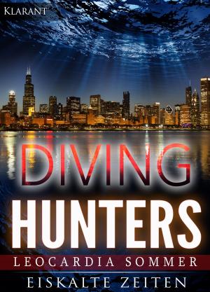 Book cover of Diving Hunters - Eiskalte Zeiten. Erotik - Thriller