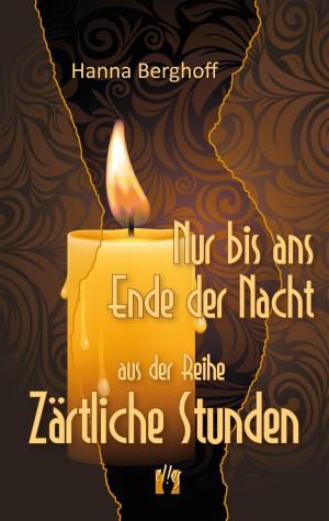 Book cover of Nur bis ans Ende der Nacht