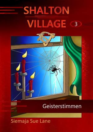 Cover of the book Geisterstimmen by Siemaja Sue Lane