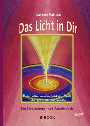 Cover of the book Das Licht in Dir by Mark Sherwood