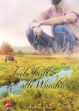 Cover of the book Liebe heilt alte Wunden by Kali Argent