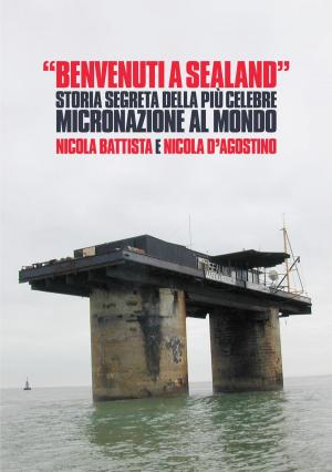 Book cover of Benvenuti a Sealand