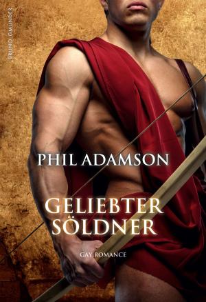 Cover of the book Geliebter Söldner by Robert Bringston