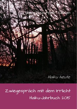 Cover of the book Zwiegespräch mit dem Irrlicht by Volker Friebel