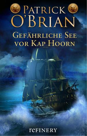 Book cover of Gefährliche See vor Kap Horn