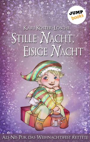 Cover of the book Stille Nacht, eisige Nacht by Eva Maaser