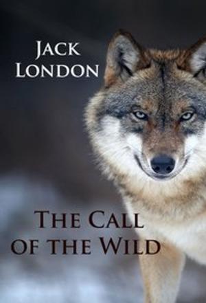 Cover of the book The Call of the Wild by Jacob Grimm, Wilhelm Grimm