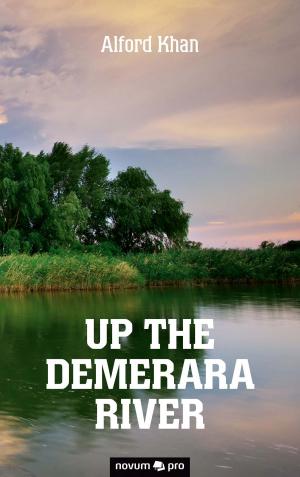 Cover of the book Up the Demerara River by Céline Dieterle