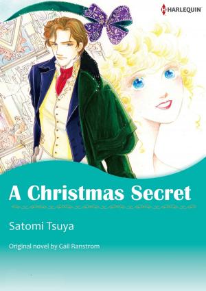 Book cover of A CHRISTMAS SECRET