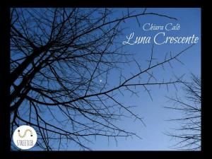 Cover of the book Luna Crescente by April Morone