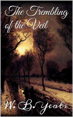 Cover of the book The Trembling of the Veil by Katy Lederer