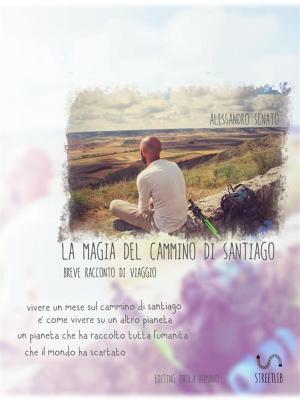 Cover of the book La magia del cammino di Santiago by Michael B. Barry
