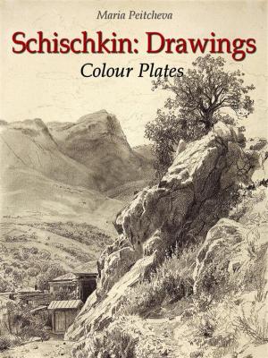 Book cover of Schischkin: Drawings Colour Plates