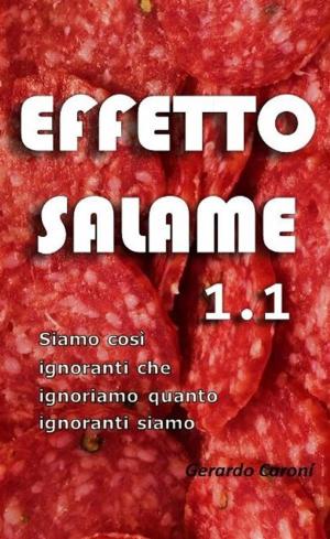 Cover of the book Effetto Salame 1.1 by Paola Trotti