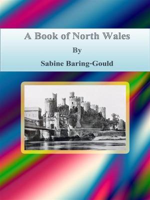 Cover of the book A Book of North Wales by Edith Wharton