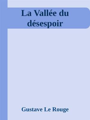 Cover of the book La Vallée du désespoir by Dannie Hill