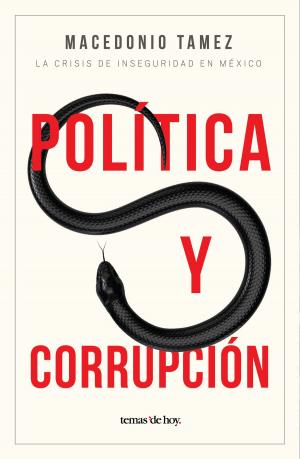 Cover of the book Política y corrupción by Fernando Montero
