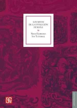 Cover of the book Los mitos de la evolución humana by Ignacio Padilla