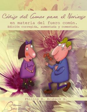 Book cover of Código del amor para el noviazgo en materia del fuero común.