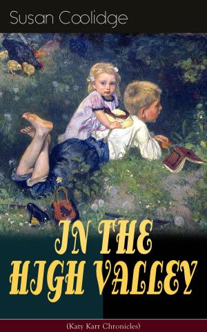 Cover of the book IN THE HIGH VALLEY (Katy Karr Chronicles) by John Henry Mackay