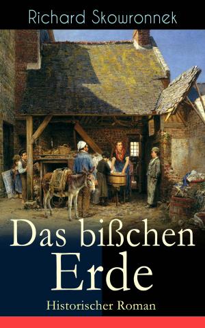 Book cover of Das bißchen Erde (Historischer Roman)
