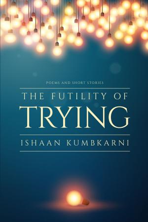 Cover of the book The Futility of Trying by DR. BKM