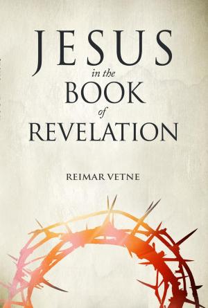 bigCover of the book Jesus in the Book of Revelation by 