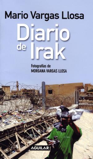 Cover of the book Diario de Irak by Roberto Pavanello