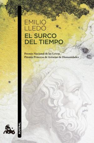 Cover of the book El surco del tiempo by Patricia Geller