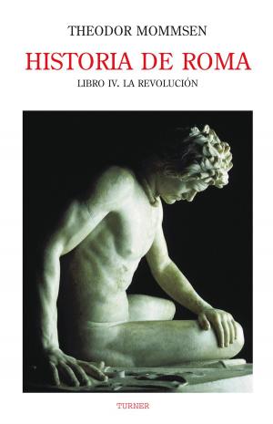 Book cover of Historia de Roma. Libro IV