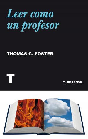 Book cover of Leer como un profesor