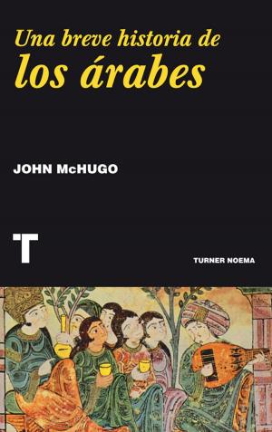 Book cover of Una breve historia de los árabes