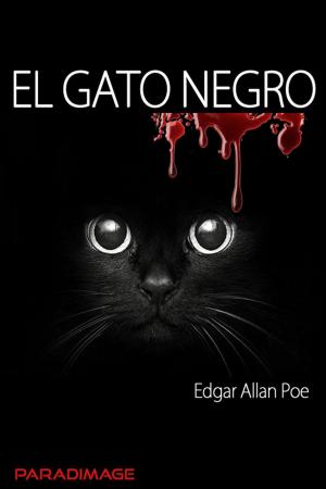 Cover of the book El Gato Negro by Rubén Darío, Gustavo Adolfo Becquer, Rosalia De Castro