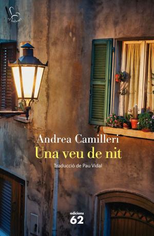 Cover of the book Una veu de nit by David Cirici